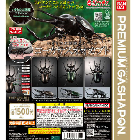 Capsule toy Complete set Ikimono Encyclopedia Caucasian Beetle