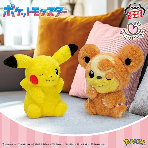 Pokemon Mofugutto Hokkori Iyasare Plush toy 21cm Teddiursa