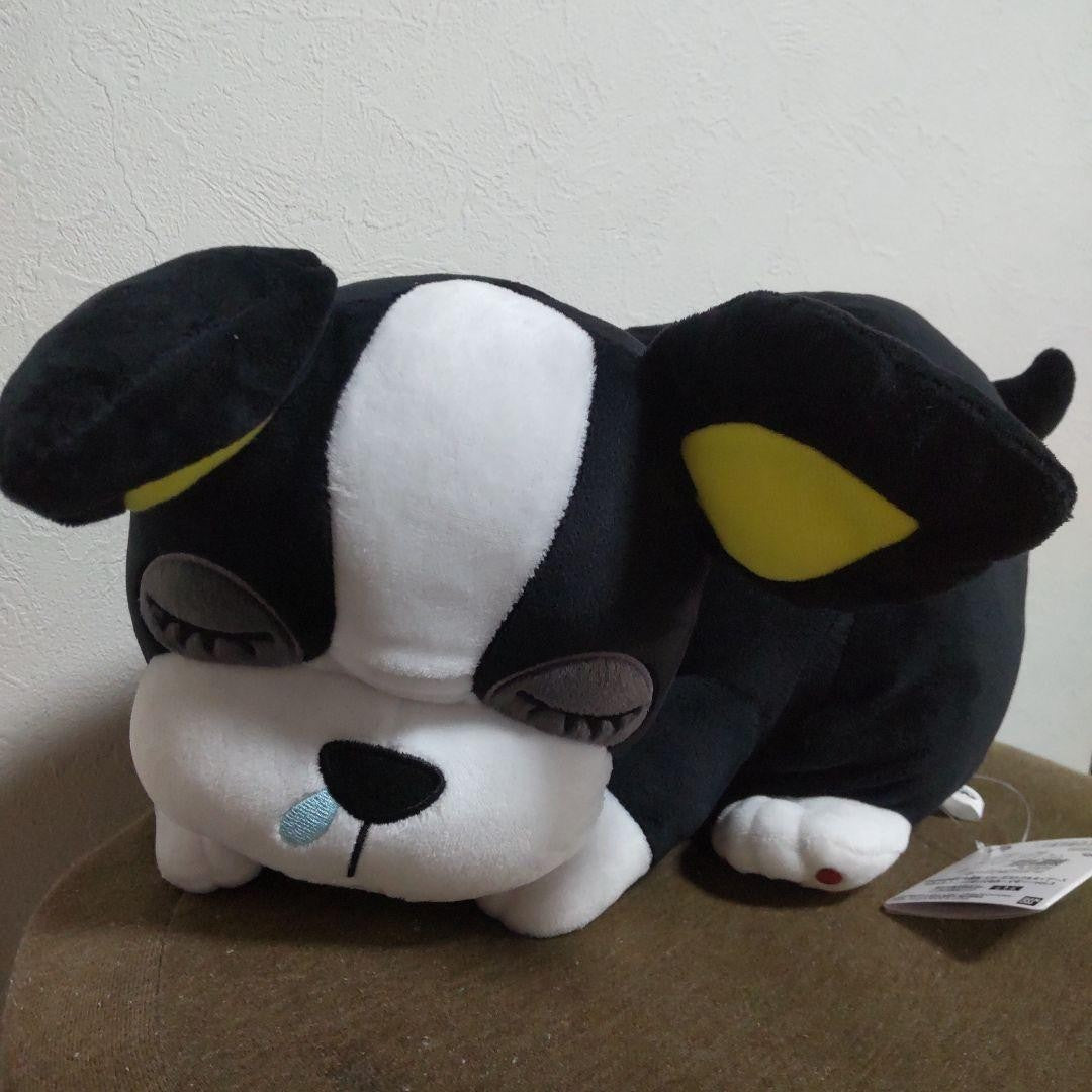 epi