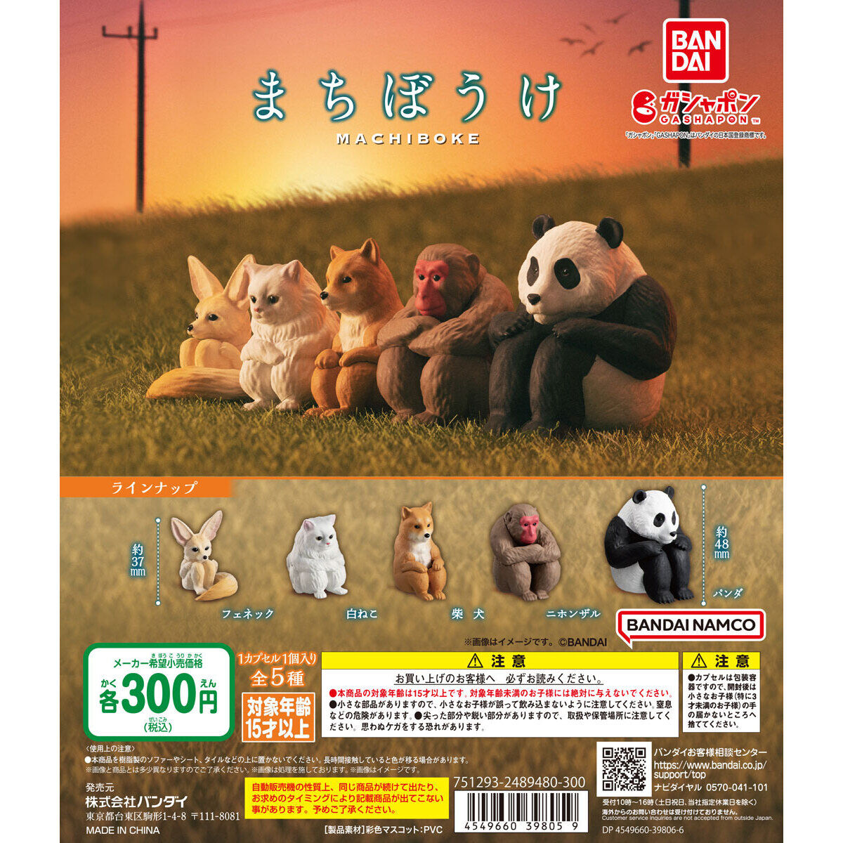 Capsule toy