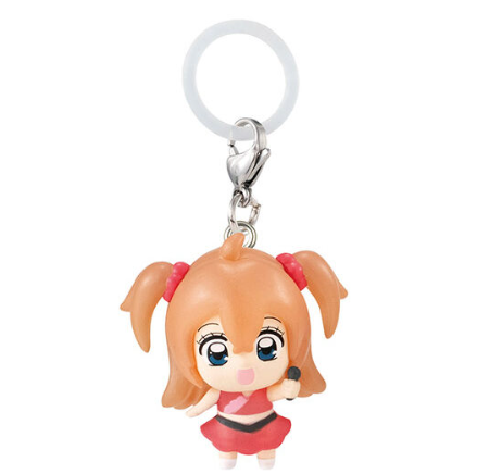 Capsule toy Kirarin ☆ Revolution Mejirushi Accessories Tsukishima Kirari