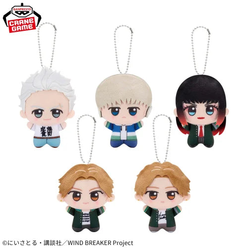 WIND BREAKER Chibigurumi Plush Mascot 11cm