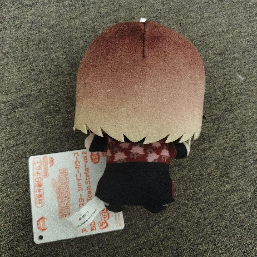 THE IDOLM@STER Shiny Colors Chibigurumi Plush Toy ~Team.Stella~ vol.21