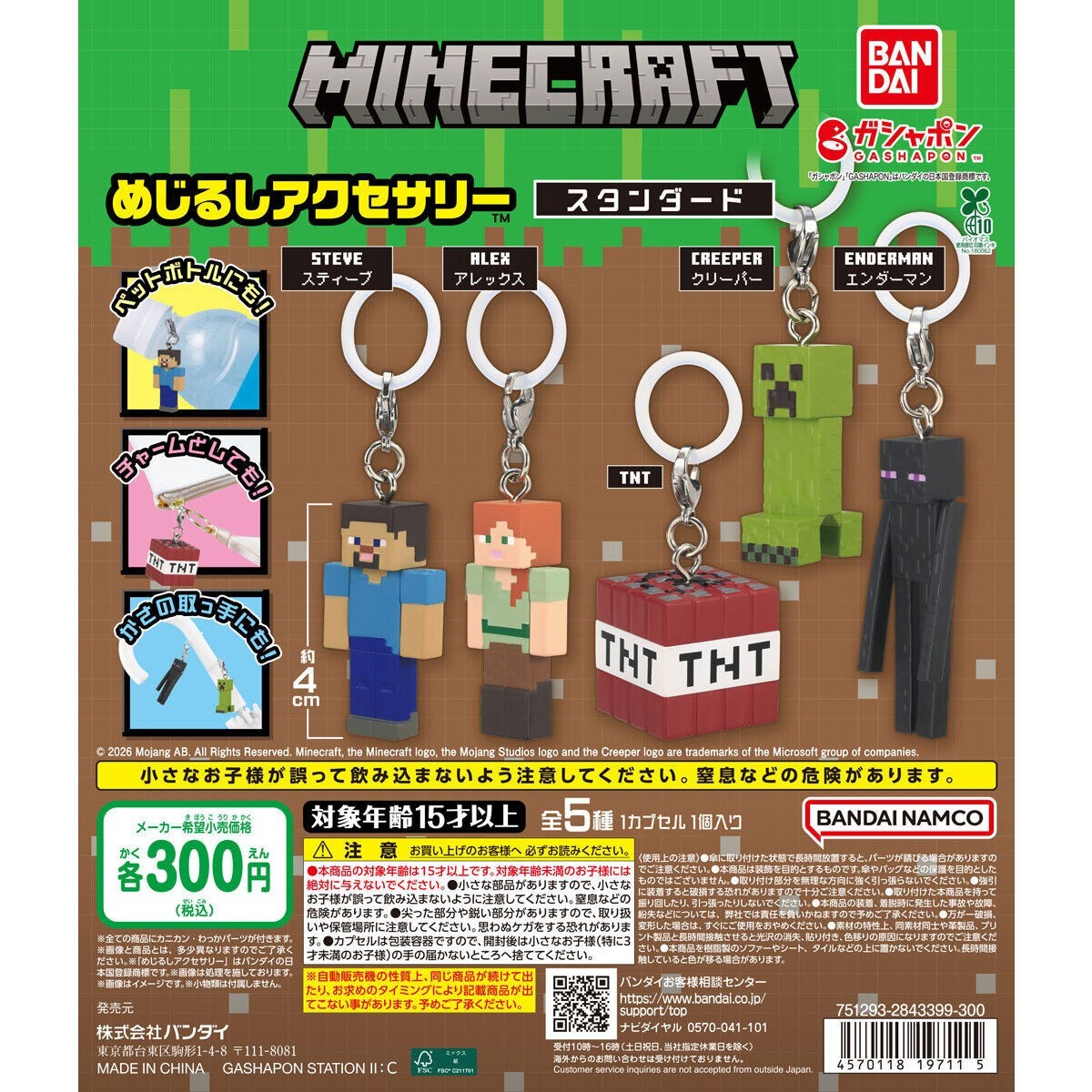 # MINECRAFT Mejirushi Accessories Steve & Alex Set of 21
