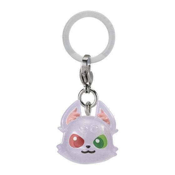 # Capsule toy CRAZY RACCOON mejirushi accessory Ras0