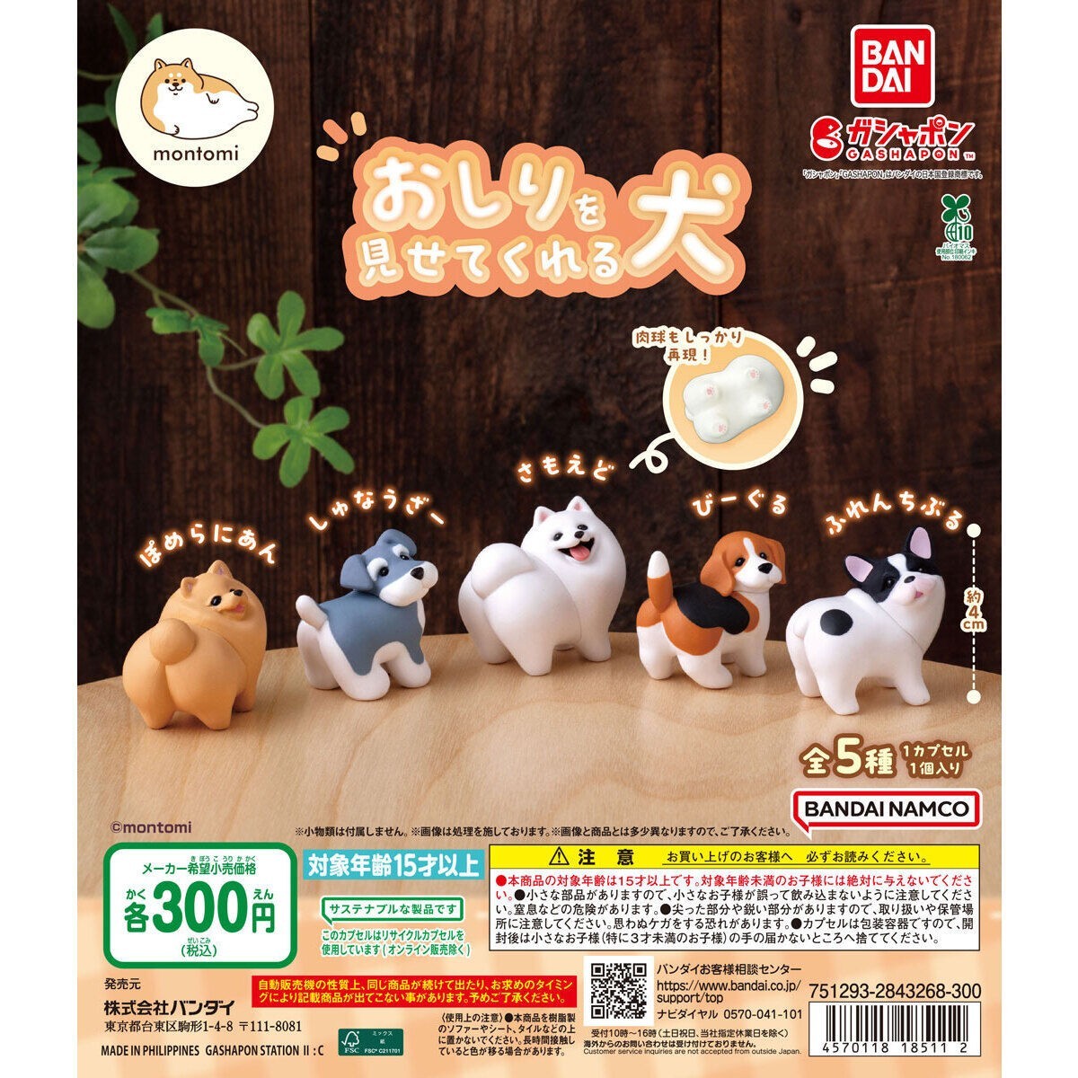 # Capsule toy Dog that shows its rear end Pomeranian1