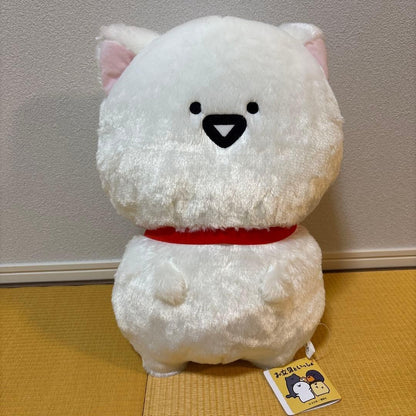 epi