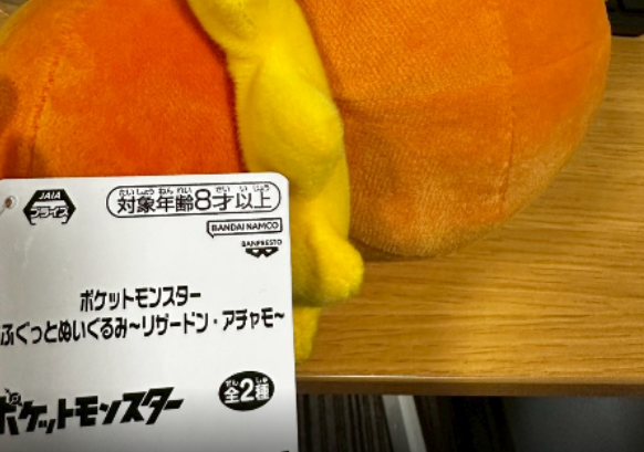 Pokemon Mofugutto Plush Toy Torchic1