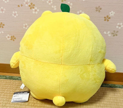 epi