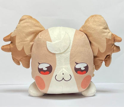 epi