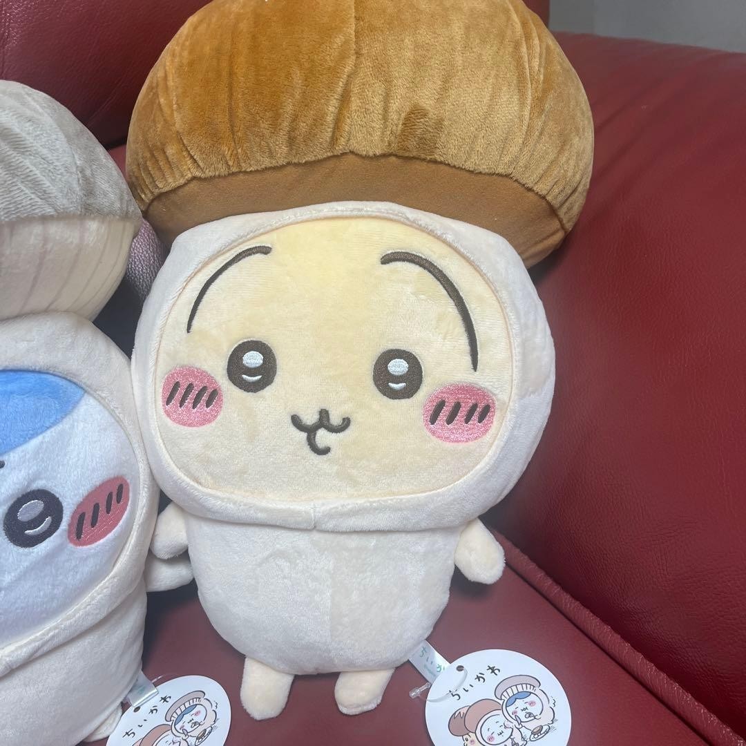 epi