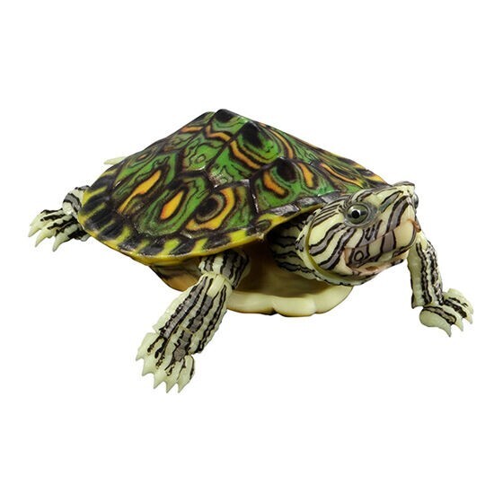 epi