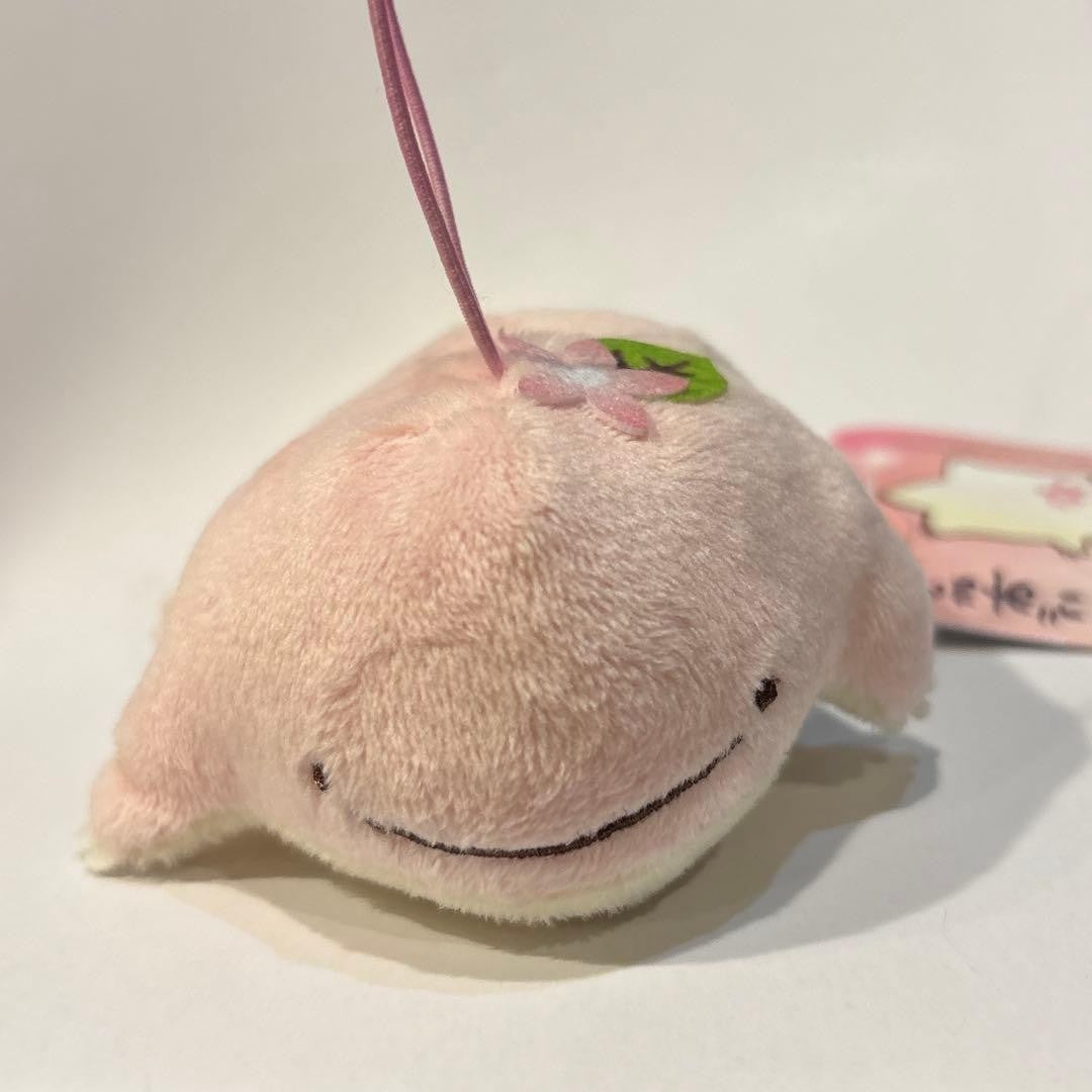 epi