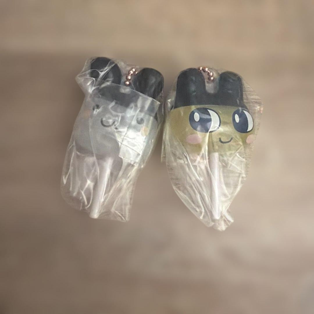 epi
