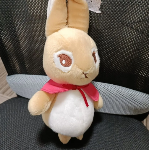 Peter Rabbit Flopsy Plush Toy0