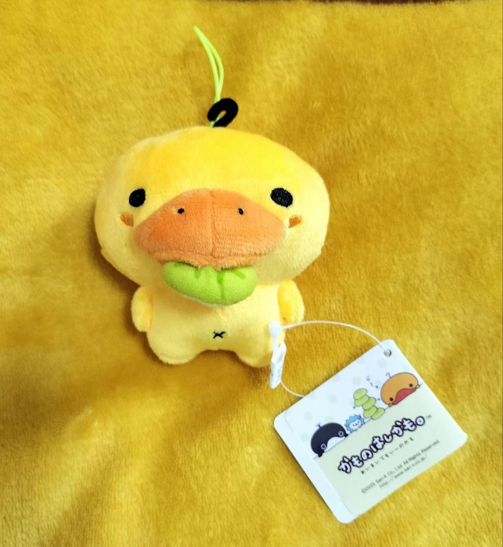 epi