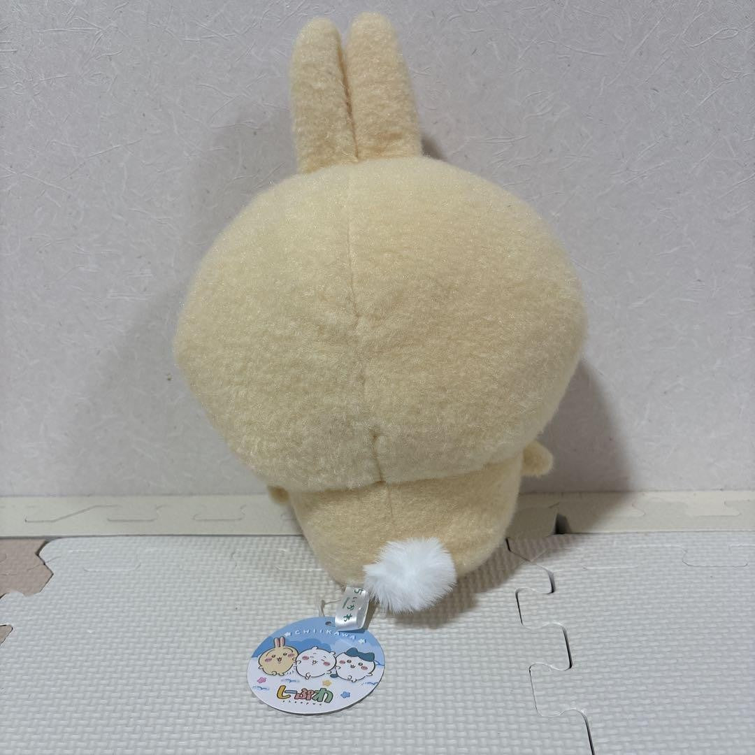 epi
