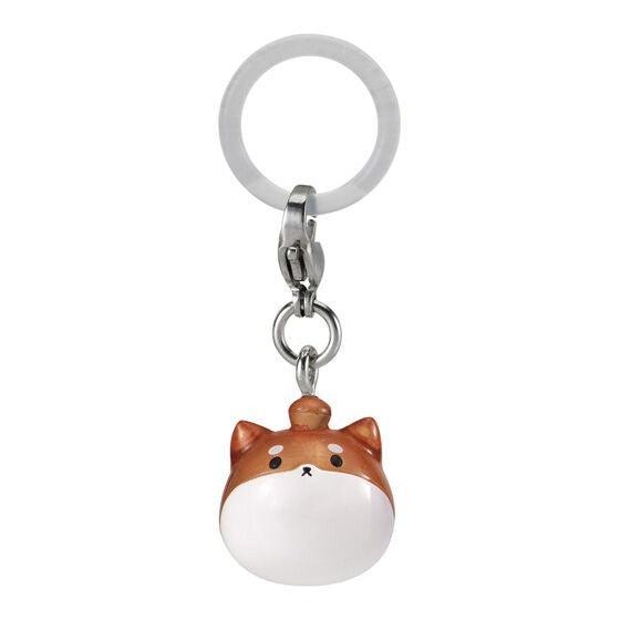 # Capsule toy CRAZY RACCOON mejirushi accessory Kinako0