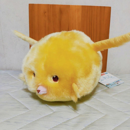 epi