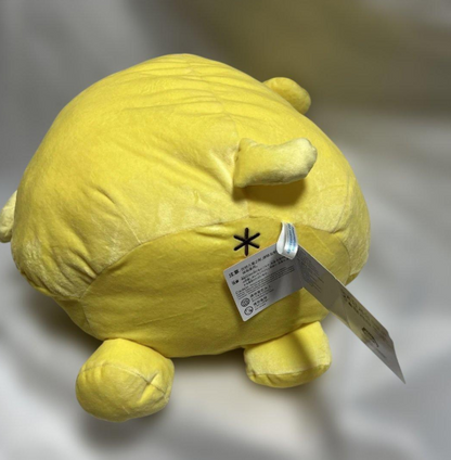 epi