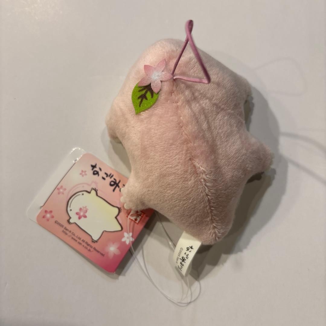epi