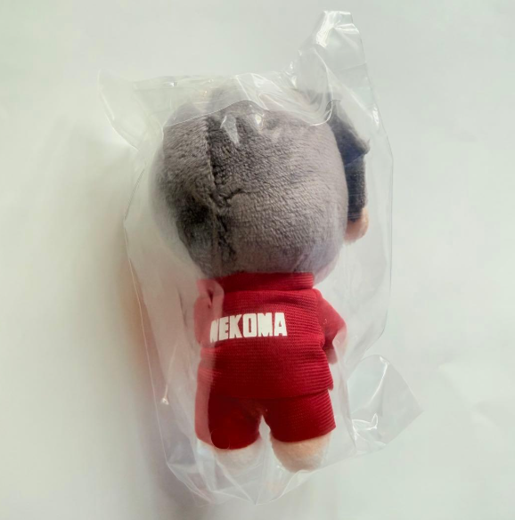 # Furyu Lottery Haikyuu!! Prize D Plush Mascot Shohei Fukunaga1