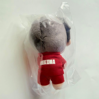 # Furyu Lottery Haikyuu!! Prize D Plush Mascot Shohei Fukunaga1