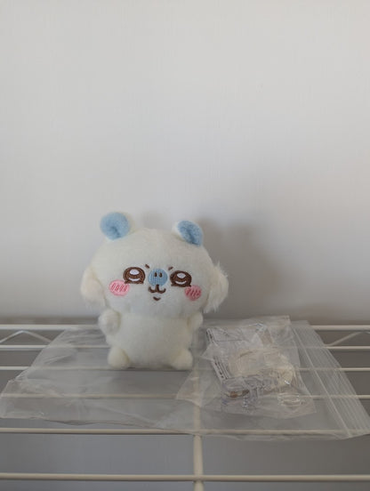 epi