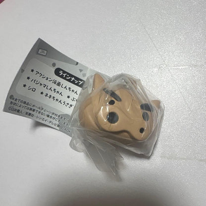 epi
