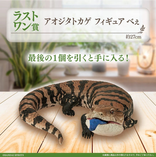Ichiban Kuji Reptiles & Amphibians Tiny Friends Blue tongued skink Figure
