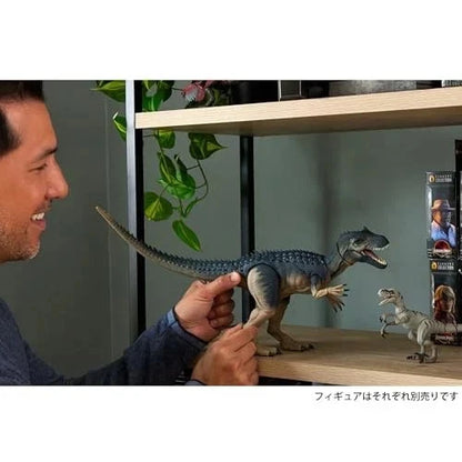 Mattel Jurassic World Hammond Collection Allosaurus Figure JCG13 New JAPAN